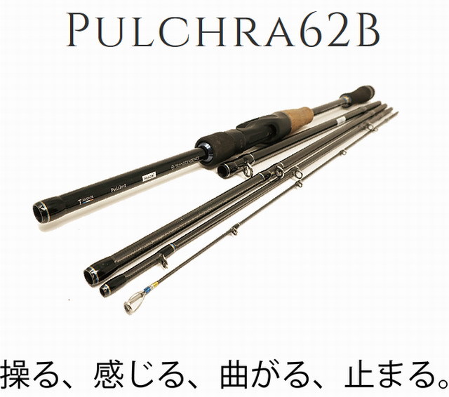 トランスセンデンス プルクラ62B 24 【シーバスルアー専門店 キング 