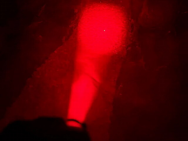 冨士灯器 ゼクサス（ZEXUS） ZX-195X 【シーバスルアー専門店 キング