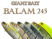 BALAM 200 バラム GMチャート 新品 即日発送 BALAM 200 バラム GMチャート 新品 即日発送 バラム200 GMチャート