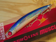 期間限定最終値下げ APIA アピア シーバスルアー16個セット 期間限定最終値下げ APIA アピア シーバスルアー16個セット