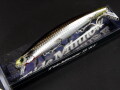 タイドミノーサーフ