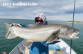 Fishman　BRIST marino8.0M