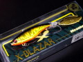 X-BLAZARS