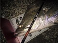 バリトーノ93