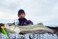 ブルーブルー　フォースガイル160F