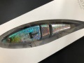 ハニタスプラス