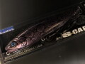 極SCAPER