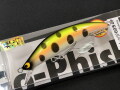 カレッジ60　極上