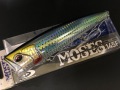 モーセ145F