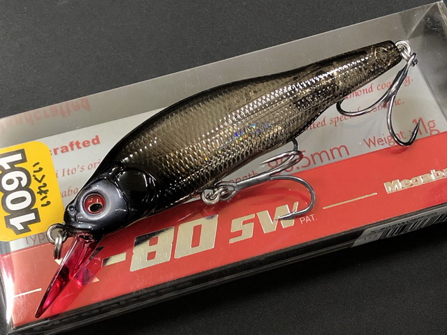 X-80SW　2025