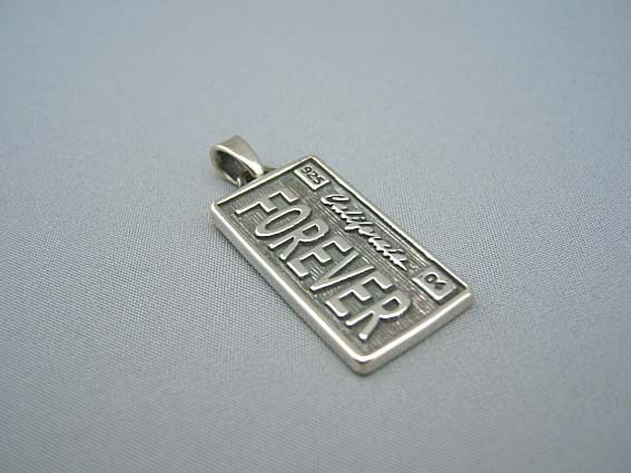 トラヴィスワーカー　TRAVIS WALKER　ライセンスプレート“FOREVER“ミディアム ペンダント【トップのみ】　LPS003-M