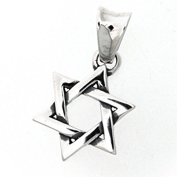 トラヴィスワーカー　TRAVIS WALKER　 スターオブダビデペンダント　PDS095