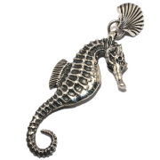 クレイジーピッグ　CRAZY PIG DESIGNS　SEAHORSE SHELL TOP PENDANT #558 シーホースシェル