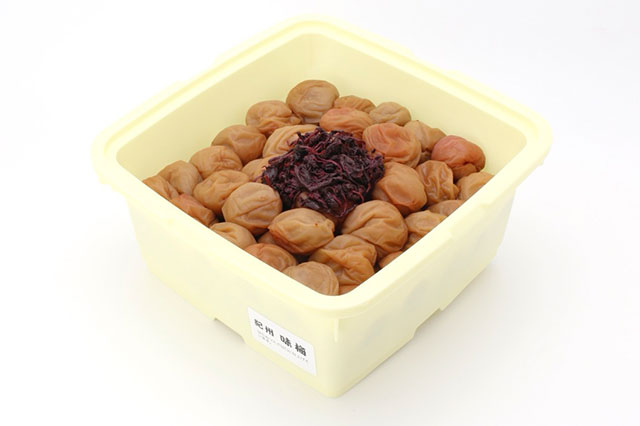梅グルメ　1.5ｋｇ