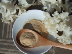 【定期コース】はなびらたけパウダー45ｇ