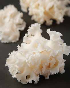 【定期コース】はなびらたけカプセル