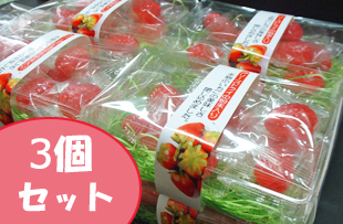 もぎたていちご ３個セット　見送り菓子にも