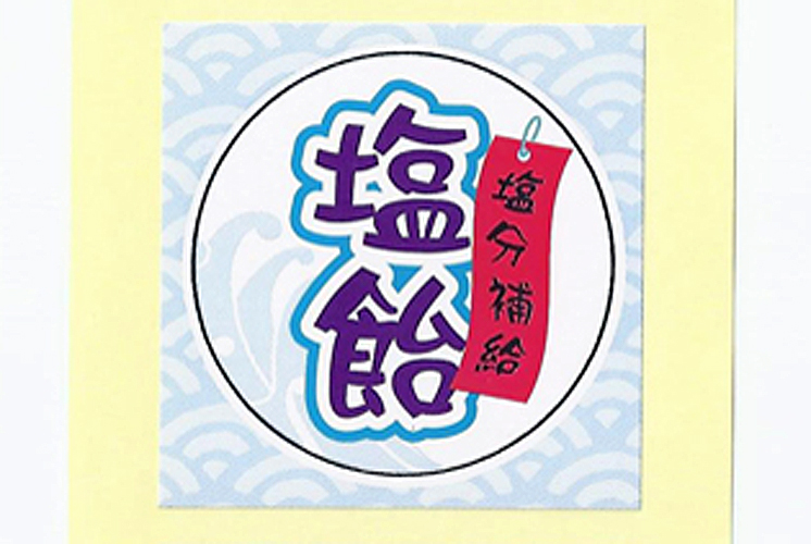 塩飴シール　10枚セット　通販