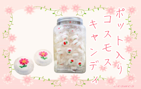 容器入りコスモス・キャンディ 100個入り　秋のプレゼント用