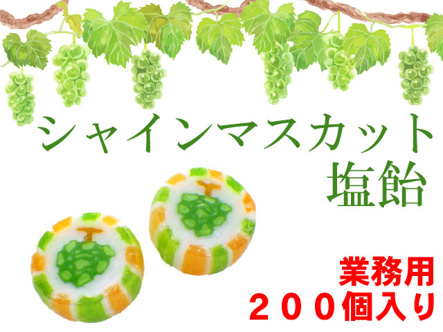 【数量限定】シャインマスカット塩飴　200個入り　業務用 白ぶどう マスカットの絵柄