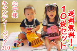 子ども様用キャンディーパック310　１0個セット　まとめ買い特典送料無料