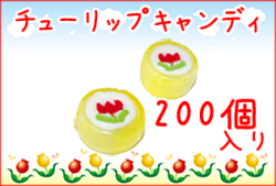 チューリップキャンディ　200個入り 業務用