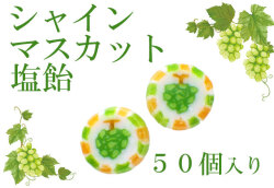 【数量限定】シャインマスカット塩飴　50個入り　白ぶどう マスカットの絵柄