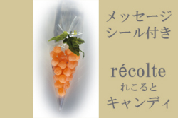 recolte れこると キャンディ　選べるメッセージ　子供様の快気祝いなどの入院お見舞いのお返しに