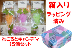 れこるとキャンディ 15個セット 送料無料 選べるメッセージシール お世話になった方へ
