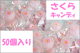 https://image1.shopserve.jp/kinsencandy.jp/pic-labo/llimg/149_04.jpg?t=20260423210522