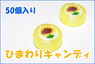 https://image1.shopserve.jp/kinsencandy.jp/pic-labo/llimg/161_03.jpg?t=20260423210522