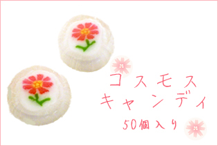 https://image1.shopserve.jp/kinsencandy.jp/pic-labo/llimg/173_02.jpg?t=20260824204133