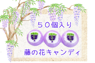 https://image1.shopserve.jp/kinsencandy.jp/pic-labo/llimg/220_05.jpg?t=20260824204133
