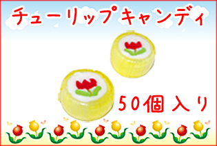https://image1.shopserve.jp/kinsencandy.jp/pic-labo/llimg/244_05.jpg?t=20260423210522
