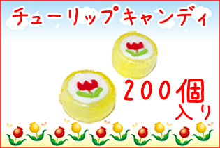 https://image1.shopserve.jp/kinsencandy.jp/pic-labo/llimg/333_02.jpg?t=20260824162514