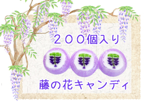 https://image1.shopserve.jp/kinsencandy.jp/pic-labo/llimg/335_01.jpg?t=20260824235137