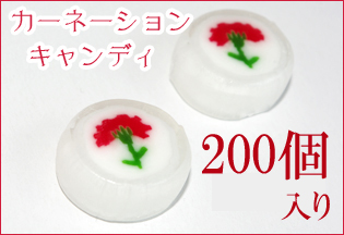 https://image1.shopserve.jp/kinsencandy.jp/pic-labo/llimg/337_01.jpg?t=20260824162514
