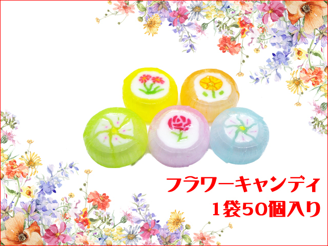 https://image1.shopserve.jp/kinsencandy.jp/pic-labo/llimg/464_11.jpg?t=20260824204133