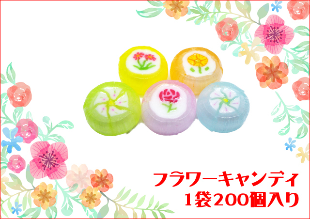 https://image1.shopserve.jp/kinsencandy.jp/pic-labo/llimg/465_02.jpg?t=20260824162514