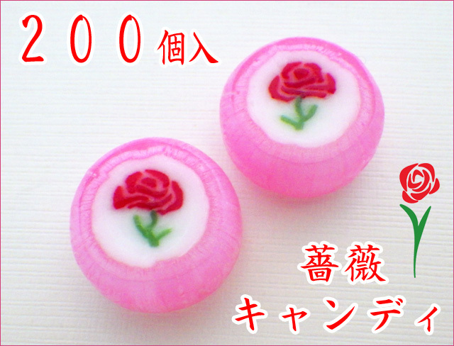 https://image1.shopserve.jp/kinsencandy.jp/pic-labo/llimg/467_02.jpg?t=20260424031052