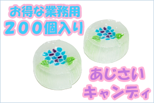 https://image1.shopserve.jp/kinsencandy.jp/pic-labo/llimg/520_01.jpg?t=20260824162514