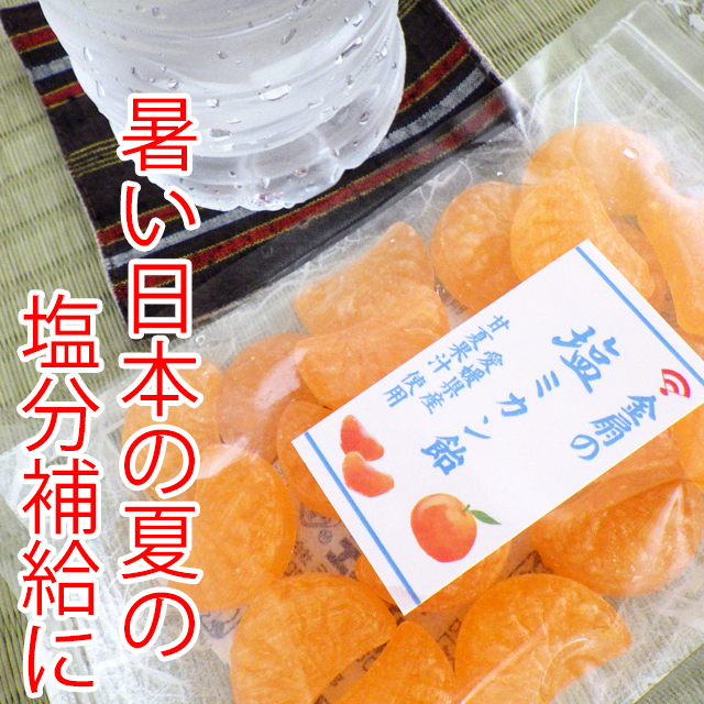 みかん 温州みかん愛紅小町 あいかちゃん3L～特大サイズミックス！