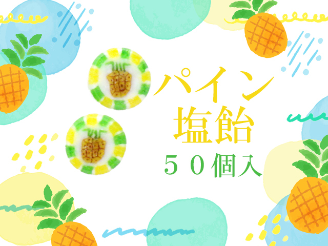 https://image1.shopserve.jp/kinsencandy.jp/pic-labo/llimg/677_04.jpg?t=20260824212914