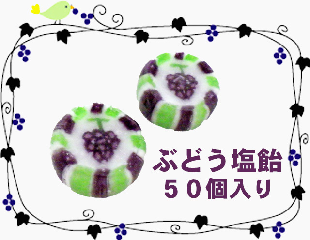https://image1.shopserve.jp/kinsencandy.jp/pic-labo/llimg/683_07.jpg?t=20260824212914