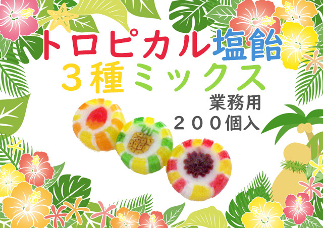 https://image1.shopserve.jp/kinsencandy.jp/pic-labo/llimg/694_02.jpg?t=20260824162514