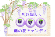藤の花キャンディ 50個入り　４～５月の季節のお菓子に