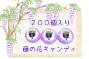 藤の花キャンディ 200個入り　藤の花お菓子　業務用