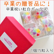 卒業祝い紅白キャンディミニボックス  名入れ 卒園贈り物