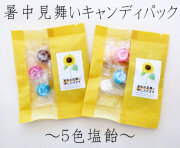 暑中見舞いキャンディ　5色塩飴 １袋6個入　黄色和紙袋入り