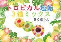 トロピカル塩飴ミックス（マンゴー、パイン、ライチ）　50個入り　可愛い絵柄入り